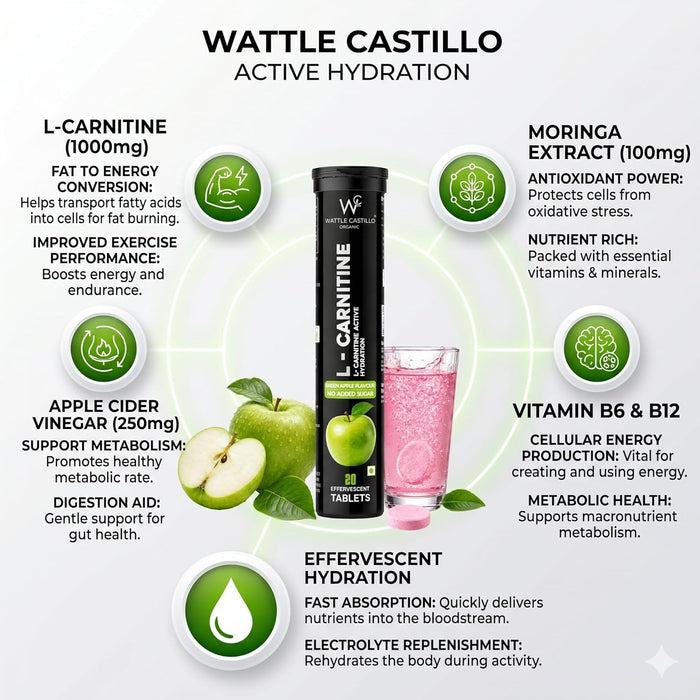 L-Carnitine Effervescent Tablets | Green Apple Flavor | Apple Cider Vinegar, Moringa, Vitamin B6 & B12 | Hydration & Energy Support | No Added Sugar | 20 Tablets - Wattle Castillo
