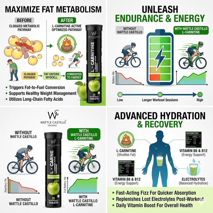 L-Carnitine Effervescent Tablets | Green Apple Flavor | Apple Cider Vinegar, Moringa, Vitamin B6 & B12 | Hydration & Energy Support | No Added Sugar | 20 Tablets - Wattle Castillo