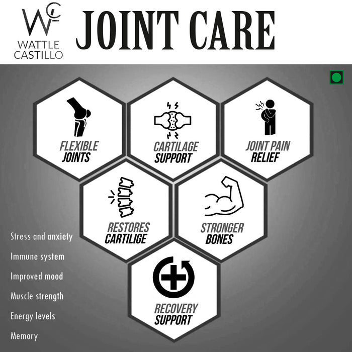 Wattle Castillo Joint Care Nutrition Joint Care [Pack of 60 Tablets] | Joint, Bone & Cartilige Health Support | Recovery & Joint Pain Support - Wattle Castillo