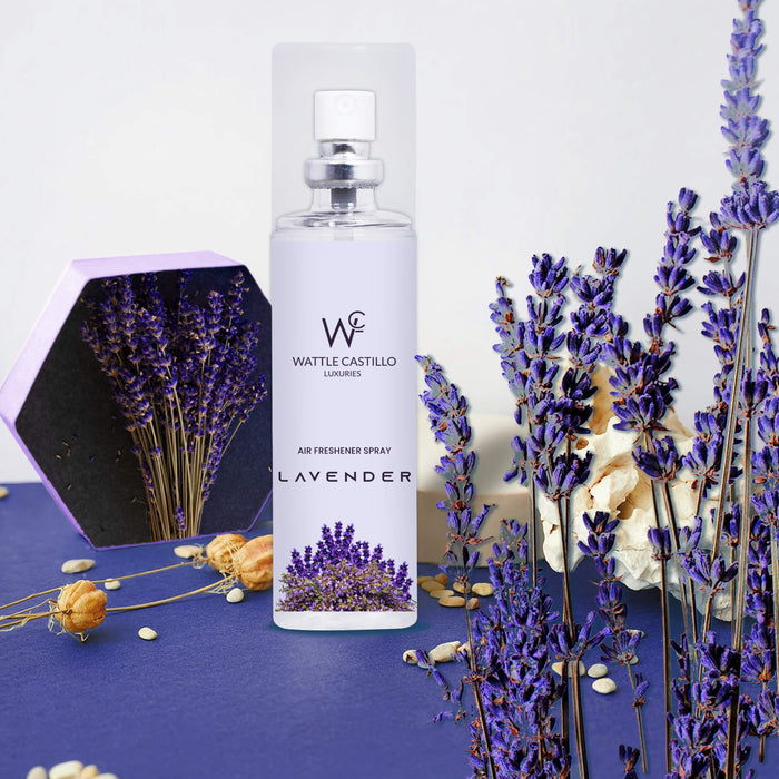 Impressions Car Fragrance - Lavender + Thyme Peace – Paddywax